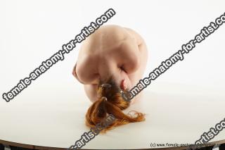 Various reference of Heda